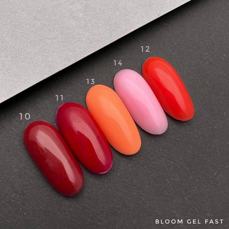 Гель Bloom камуфляж №10 низкотемпературный Fast Gel, 15 мл.