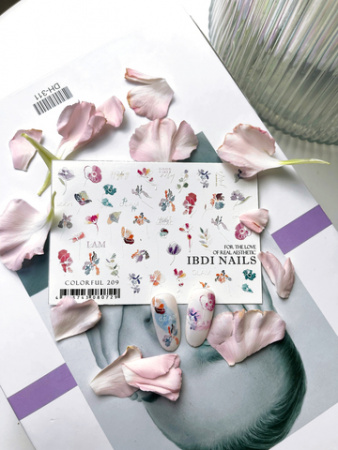 Слайдер-дизайн IBDI COLORFUL 209